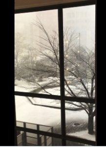 休憩中に入ったカフェから見えた雪の札幌