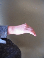 手関節の掌屈（GIF動画）
