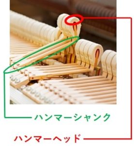 調律中のピアノのハンマーヘッドだが、アレクサンダーテクニークを使ってピアノヲ演奏するときには、このハンマーヘッドまで、脳の中の身体地図を拡張する