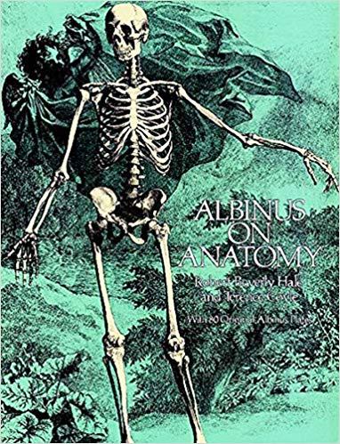 アレクサンダーテクニーク教師やボディマピング教師にも、骨盤の向きに関する誤解を与えた"Albinus on Anatomy"（拡大）