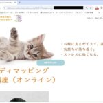 クーポンコード入りのURLをブラウザーに入力